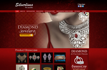 Website Design Company in Delhi- NCR