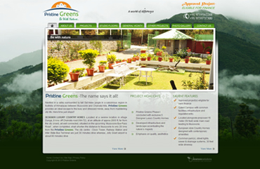 Website Design Company in Delhi- NCR